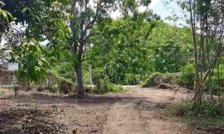 ขายที่ดิน - ขายที่ดินแปลงใหญ่ ผังเหลือง อ.สันกำแพง จ.เชียงใหม่