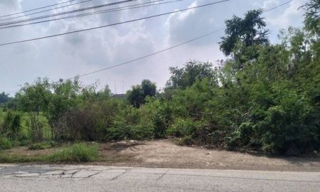 ขายที่ดิน - ขายที่ดิน 1 ไร่ 3 งาน 79 ตารางวา ต.หนองแหน อ. พนมสารคาม จ. ฉะเชิงเทรา