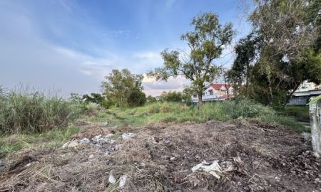 ขายที่ดิน - ขาย ที่ดิน 1 ไร่ 80 ตารางวา ติดทางด่วนมอเตอร์เวย์ สาย 7 ซอยชัยพรวิถี 15 หนองปรือ บางละมุง ชลบุรี