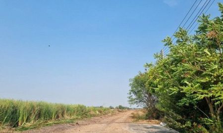 ขายที่ดิน - ขายที่ดิน6ไร่ผังสีม่วงจุดสีขาวเขตEEC อ.เมืองฉะเชิงเทรา