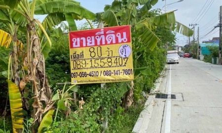 ขายที่ดิน - ขายที่ดิน 80 ตร.วา สวยแปลงมุม ซ. จตุรโชคชัย 1 ใกล้วัดหลวงพ่อโต บางพลี สมุทรปราการ ZT483