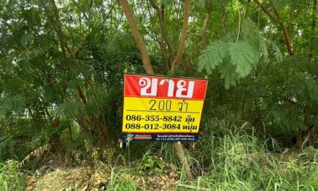 ขายที่ดิน - ขายที่ดิน 200 ตารางวา ซอยนารถมนตเสวี 11 ถนนพระยาสัจจา เมืองชลบุรี ZT848