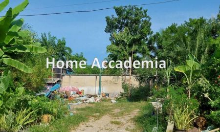 ขายที่ดิน - ขายที่ดินงามวงศ์วาน 47 (ชินเขต) 120 ตร.ว. ใกล้ The Mall และ ม.เกษตรฯ เหมาะสร้างบ้าน-ลงทุน