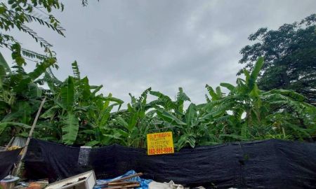 ขายที่ดิน - ขายที่ดินเปล่า ซอยศรีนครินทร์ 29 สวนหลวง กรุงเทพมหานคร