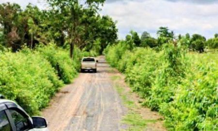 ขายที่ดิน - ที่นาแปลงสวย ไร่ละเพียง 95,000 บาท อ.กระสัง บุรีรัมย์