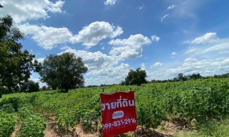 ขายที่ดิน - ขายที่ดิน 9-2-13 ไร่ ติดถนน ทำบ้านจัดสรรได้ ติดเทศบาล ตำบลเนินขาม อ.เนินขาม จ.ชัยนาท ขายถูกสุดในย่านนี้