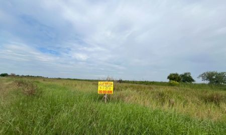 ขายที่ดิน - ขายที่ดินเปล่า ซอยผดุงพันธ์21 หนองจอก กรุงเทพมหานคร