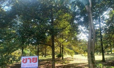 ขายที่ดิน - ขายด่วนที่ดิน เนื้อที่ทำสวน ทุเรียนล้วน 3 ไล่ 80 ตารางวา ต.เขาวัว อ.ท่าใหม่ จ.จันทบุรี