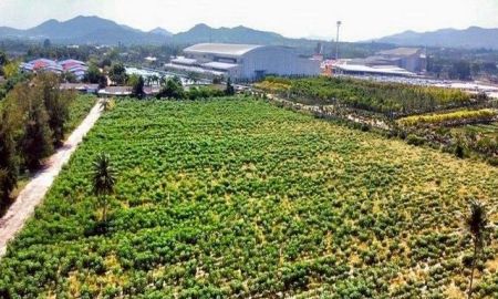 ขายที่ดิน - ขายที่ดินสวย กว่า 19ไร่ ที่ดินโซนพัทยา ติดสวนนงนุช ใกล้ทะเลจอมเทีย TP-L1890