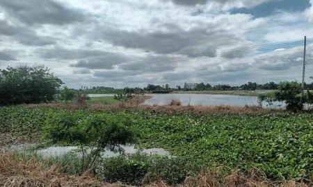 ขายที่ดิน - ขายที่ดินเปล่า ติดถนนหลวงหมายเลข 3496 ใกล้ตลาดร้อยปีสามชุก สุพรรณบุรี ขนาด 1 ไร่ 2 งาน 2 ตร.ว. ทำเลดี ราคาต่อรองได้ ราคา 750,000 บาท