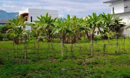 ขายที่ดิน - ขายที่ดินตำบลสันผีเสื้อติดถนนวิวดอยสุเทพโฉนดพร้อมโอน