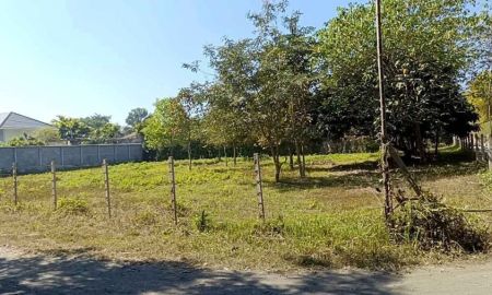 ขายที่ดิน - ขายที่ดินตำบลน้ำแพร่หางดงติดถนนทำเลใกล้ถนนคันคลองพร้อมโอน