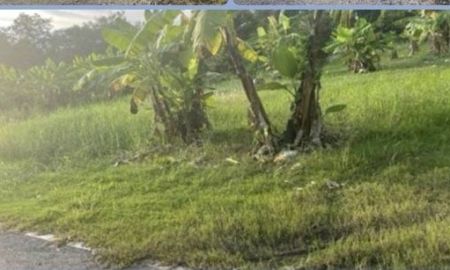 ขายที่ดิน - ขายที่ดิน ดอนเจริญ เมืองนครนายก 200 ตร.ว. ติดถนน มีน้ำ มีไฟ พร้อม