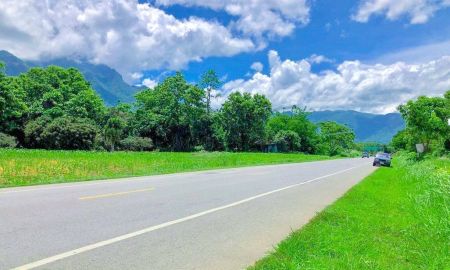 ขายที่ดิน - ขายที่ดินตำบลเชียงดาวติดถนนวิวดอยหลวงโฉนด