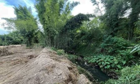 ขายที่ดิน - ขายที่ดินตำบลน้ำแพร่หางดงห่างถนนหลัก 900 เมตร