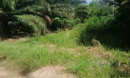 ขายที่ดิน - ขายที่ดินเปล่าติดถนนสร้างตนเอง 2 ใกล้มหาวิทยาลัยราชภัฏสุราษฎร์ธานี พิกัด: ถนนสร้างตนเอง 2 สายตรี ตำบลขุนทะเล