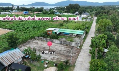 ขายที่ดิน - ขายที่ดิน ใกล้อ่างเก็บน้ำบางพระ วิวภูเขาสวย ศรีราชา ชลบุรี ไฟฟ้า ประปา สาธารณูปโภคครบ ขายที่ดินบางพระ ศรีราชา ชลบุรี 100 ตารางวา