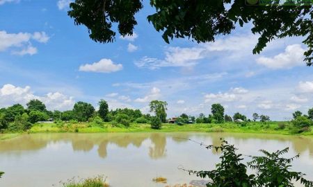 ขายที่ดิน - ที่ดินแปลงสวยสำหรับบ้านสวน สไตล์ธรรมชาติ ใกล้บึงน้ำ (มีน้ำตลอดปี) อ.พระยืน จ.ขอนแก่น