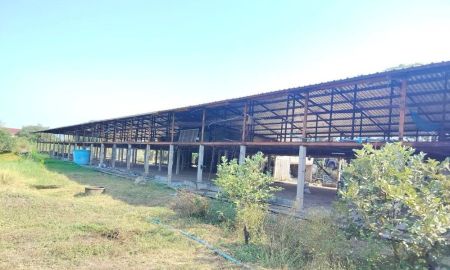 ให้เช่าโรงงาน / โกดัง - ให้เช่าพื้นที่เป็นอาคารเปิดโล่ง 250 ตร.ม. พร้อมบ้านเดี่ยว 1 หลัง อยู่ท่ามกลางสวนไร่นา บรรยากาศดีมาก ตำบลดอนพุด สระบุรี