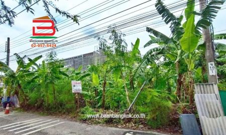 ขายที่ดิน - ที่ดิน ถมแล้ว เนื้อที่ 101 ตรว. ซอยลาดพร้าว 80 แยก 20 (ใกล้BTS ลาดพร้าว 71) ถนนลาดพร้าว แขวงวังทองหลาง เขตบางกะปิ