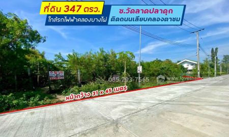 ขายที่ดิน - ขายที่ดิน ซอยวัดลาดปลาดุก ติดถนนเลียบคลองตาชม พื้นที่ 347 ตารางวา ทำเลดี ใกล้รถไฟฟ้าคลองบางไผ่