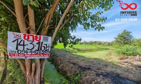 ขายที่ดิน - ขายที่ดิน 14ไร่ 316ตรว.ลำลูกกาคลอง 12 ลำลูกกา ปทุมธานี