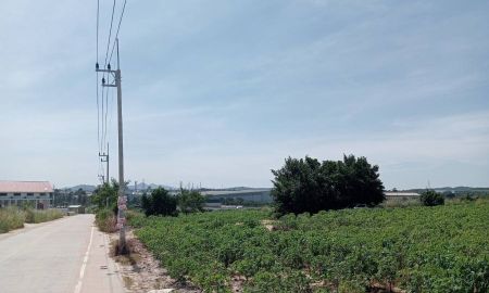 ขายที่ดิน - ขายที่ดินบ่อวิน ชลบุรี 84 ไร่ 2งาน 83ตร.ว ติดทางหลวงสาย 331 ใกล้ท่าเรือแหลมฉบัง 24 กม.