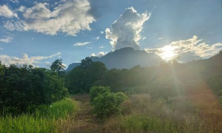 ขายที่ดิน - ขายที่ดินเชียงดาววิวดอยหลวงใกล้น้ำตกโฉนดพร้อมโอน