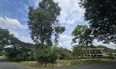 ขายที่ดิน - ที่ดิน ภูภัทรา เขาใหญ่ 290 ตาราง.วา 4638400 บาท ใกล้กับ พีบีวัลเลย์ คุ้มค่าคุ้มราคา