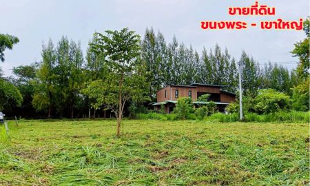 ขายที่ดิน - ขายที่ดินแปลงสวย 2 แปลง เริ่มต้น 300 ตร.ว. พร้อมโฉนด นส.4 โซนขนงพระ - ปากช่อง เขาใหญ่ ใกล้มอเตอร์เวย์ M6