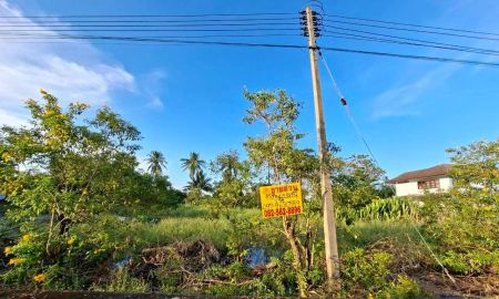 ขายที่ดิน - ขายที่ดินเปล่า ซอยพระสาครบุรานุรักษ์ (งิ้วรายซอย2)