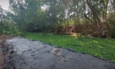 ขายที่ดิน - ขาย ที่ดินเปล่าถมแล้ว 2 ไร่ 53 ตารางวา อ.บางไทร จ.อยุธยา