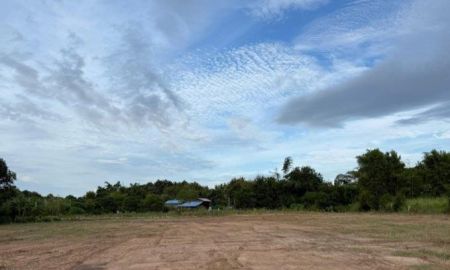 ขายที่ดิน - ขายที่ดินนาเริก 4 ไร่ ใกล้ถนนเส้น3246-900เมตร พนัสนิคม จ.ชลบุรี