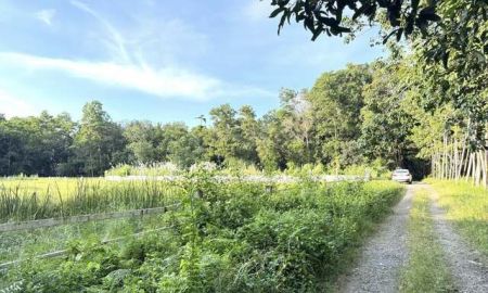 ขายที่ดิน - ขาย ที่ดินเปล่า โฉนดครุฑแดง ต.บางบุตร อ.บ้านค่าย วิวสวย บรรยากาศดี เหมาะทำบ้านสวน