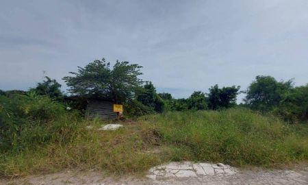 ขายที่ดิน - ขายที่ดินเปล่า ซอยคลี่เปลื้อง เกิดมีสุข บางขุนเทียน กรุงเทพมหานคร