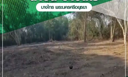 ขายที่ดิน - ขายที่ดินเปล่า 2 ไร่ 53 ตรว. ต.บางไทร อ.บางไทร จ.พระนครศรีอยุธยา