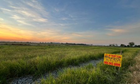 ขายที่ดิน - ขายที่ดินเปล่า ซอยโรงงานจานชาม 10 บาท ใกล้อบต พระอาจารย์