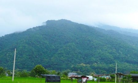 ขายที่ดิน - ขายที่ดินทำเลทอง วิวภูเขาฟูจิปัว เหมาะสำหรับสร้างธุรกิจในฝัน ร้านกาแฟ ที่พัก โฮมสเตย์ ร้านอาหาร ใกล้แหล่งท่องเที่ยวปัว เดินทางสะดวก