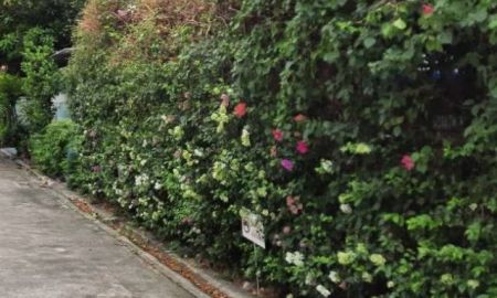 ขายที่ดิน - ขายที่ดิน 105ตร.ว ถนนสุขุมวิท101/1 เข้าจากถนนสุขุมวิทนิดเดียว ใก้ลรถไฟฟ้าสถานีปุณณวิถี ทรูดิจิตอลพาร์ค เหมาะอยู๋อาศัยหรือทำธุรกิจ