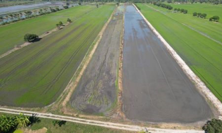 ขายที่ดิน - ขายที่ดิน 10 ไร่ 200 ตรว. แขวงขุมทอง เขตลาดกระบัง กรุงเทพมหานคร