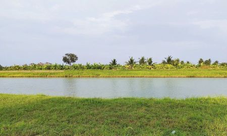 ขายที่ดิน - ที่ดินติดคลองประปา 1 ไร่ บางบัวทอง นนทบุรี ใกล้วัดมะสง