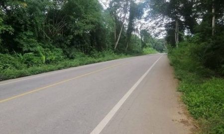 ขายที่ดิน - สวนผสมติดถนนใหญ่สายหลัก เหมาะทำการเกษตรต่อยอด หรือพัฒนาเป็นสวนทุเรียน เพราะด้านหลังติดลำห้วย น้ำดีตลอดปี อากาศบริสุทธิ์มาก