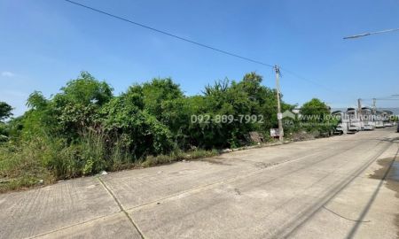 ขายที่ดิน - ขายที่ดิน ถนนโคกขาม สมุทรสาคร แปลงสวย พื้นที่ 200 ตรว. ราคาถูก ใกล้อบต.โคกขาม เหมาะลงทุน