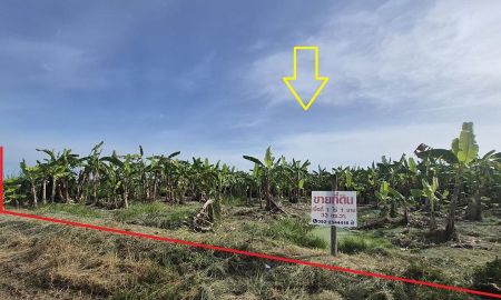 ขายที่ดิน - ขาย ที่ดินเปล่า 1-1-33 ไร่ ( 533 ตร.ว. ) ซ.บึงบอน 11 ถ.รังสิต-นครนายก จ.ปทุมธานี