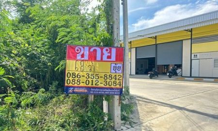 ขายที่ดิน - ขายที่ดิน 68 ตารางวา ซอยแจ้งวัฒนะ-ปากเกร็ด 38 บางตลาด ปากเกร็ด นนทบุรี ZT852