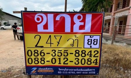 ขายที่ดิน - ขายที่ดิน 247 ตารางวา ซอยสุขสมบูรณ์ หนองปลาไหล บางละมุง ชลบุรี ZT849