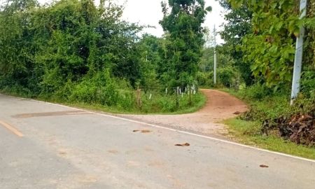 ขายที่ดิน - ขายที่ดินบ้านนาคตแพะ ป่าตันแม่ทะลำปางป่าตันแม่ทะลำปาง