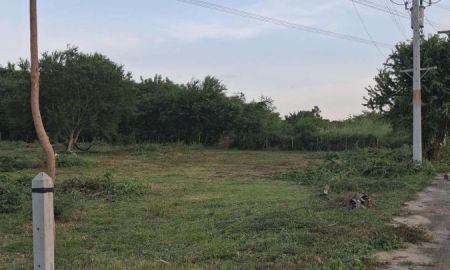 ขายที่ดิน - ขาย ที่ดิน 2 ไร่ 3 งาน ซื้อ 1 ไร่ แถมอีก 1.75 ไร่! เจ้าของร้อนเงิน รีบขายด่วน!"