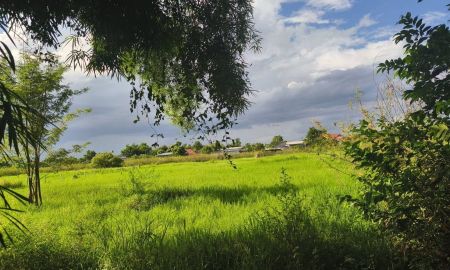 ขายที่ดิน - ขายที่ดินพร้อมสิ่งปลูกสร้าง สันกำแพง เชียงใหม่