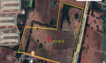 ขายที่ดิน - ที่ดินติดถนนสายหลัก สระบุรี-หล่มสัก เนื้อที่ 69-0-78.9 ไร่ ขายไร่ละ 3 แสนบาท หนองไผ่ เพชรบูรณ์